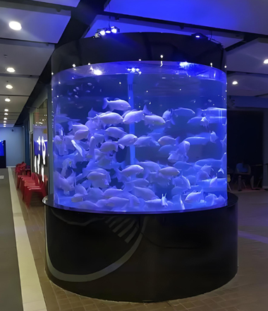 acrylic fish tank