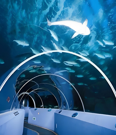 Acrylic tunnel