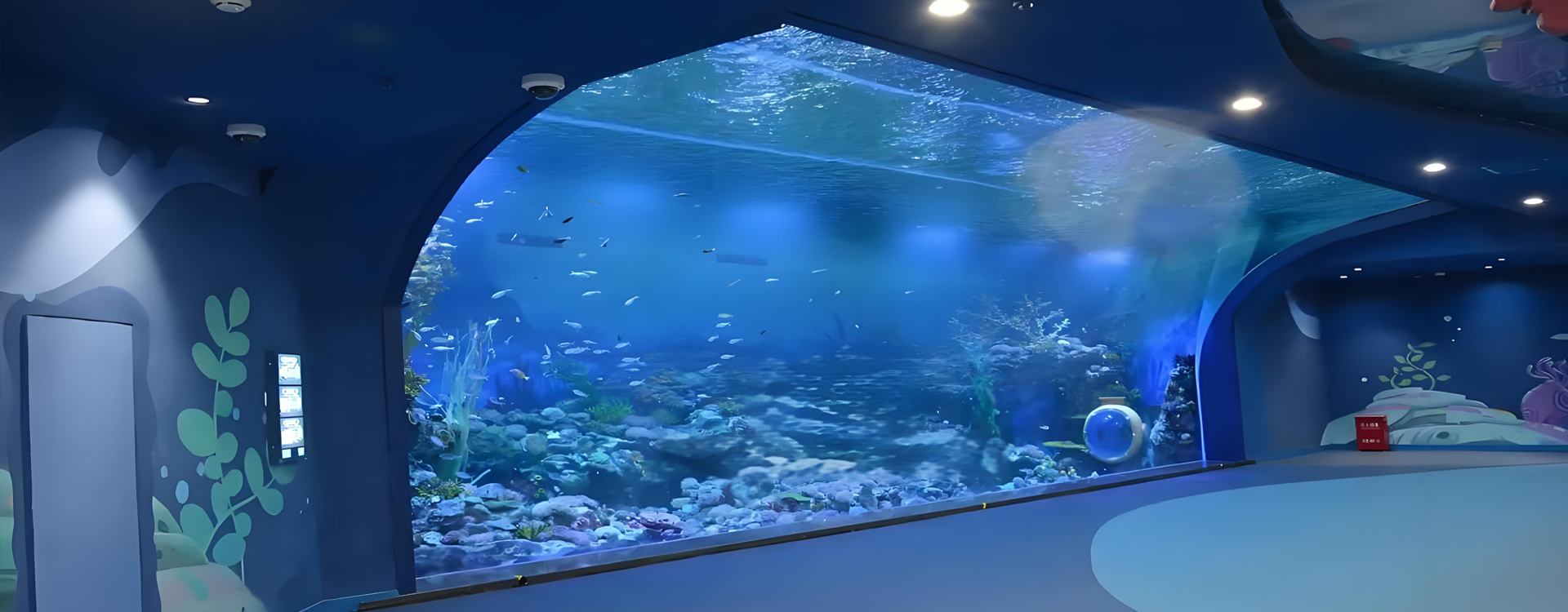 Acrylic Aquarium Supplies