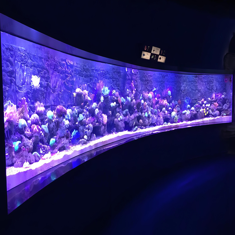 What are the advantages of customizing a