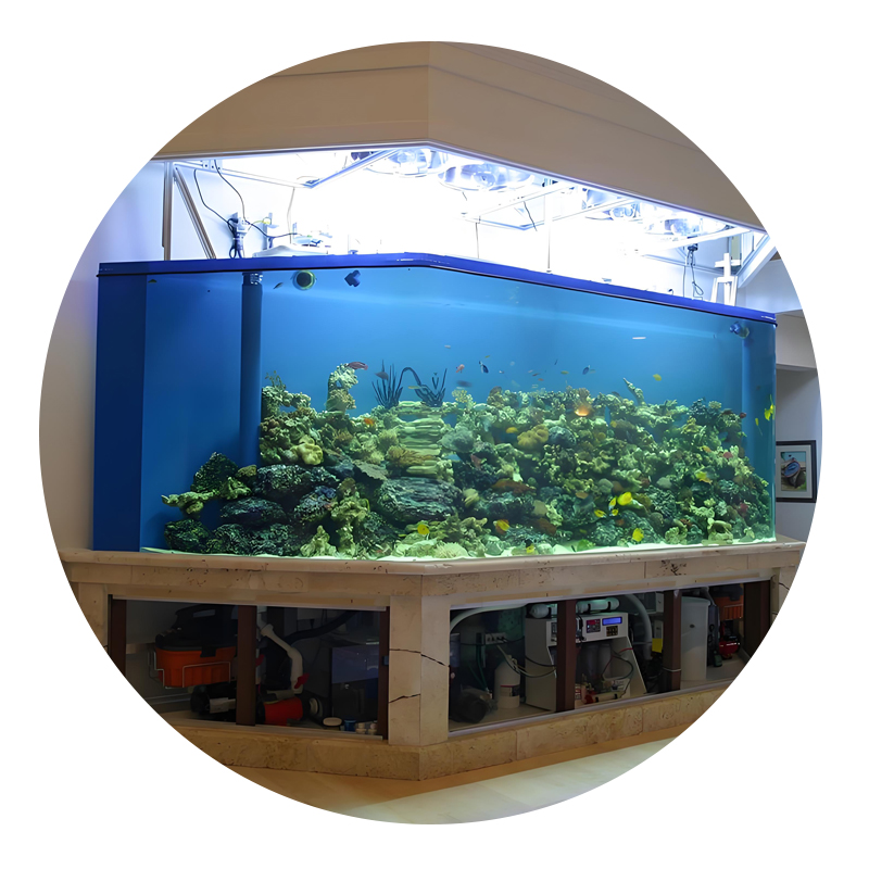 Customized acrylic fish tank