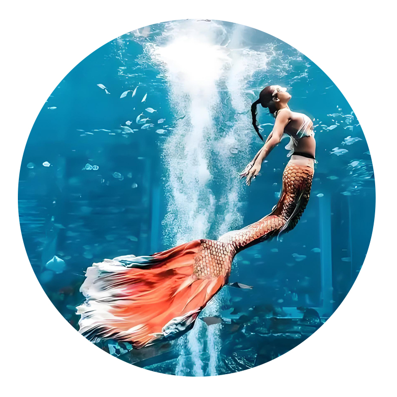 Acrylic Oceanarium Project